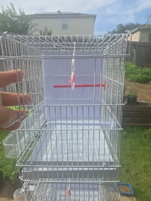 Bird Breeding Cage with Divider Count 4 for Canary Finch’s New